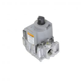 Lochinvar & A.O. Smith 100172032 Natural Gas Control Valve F9 CW199
