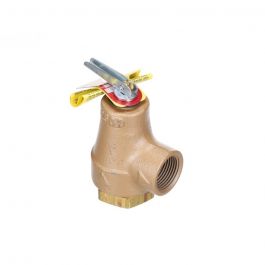 Watts F358553 3/4" Relief Valve 30 PSI